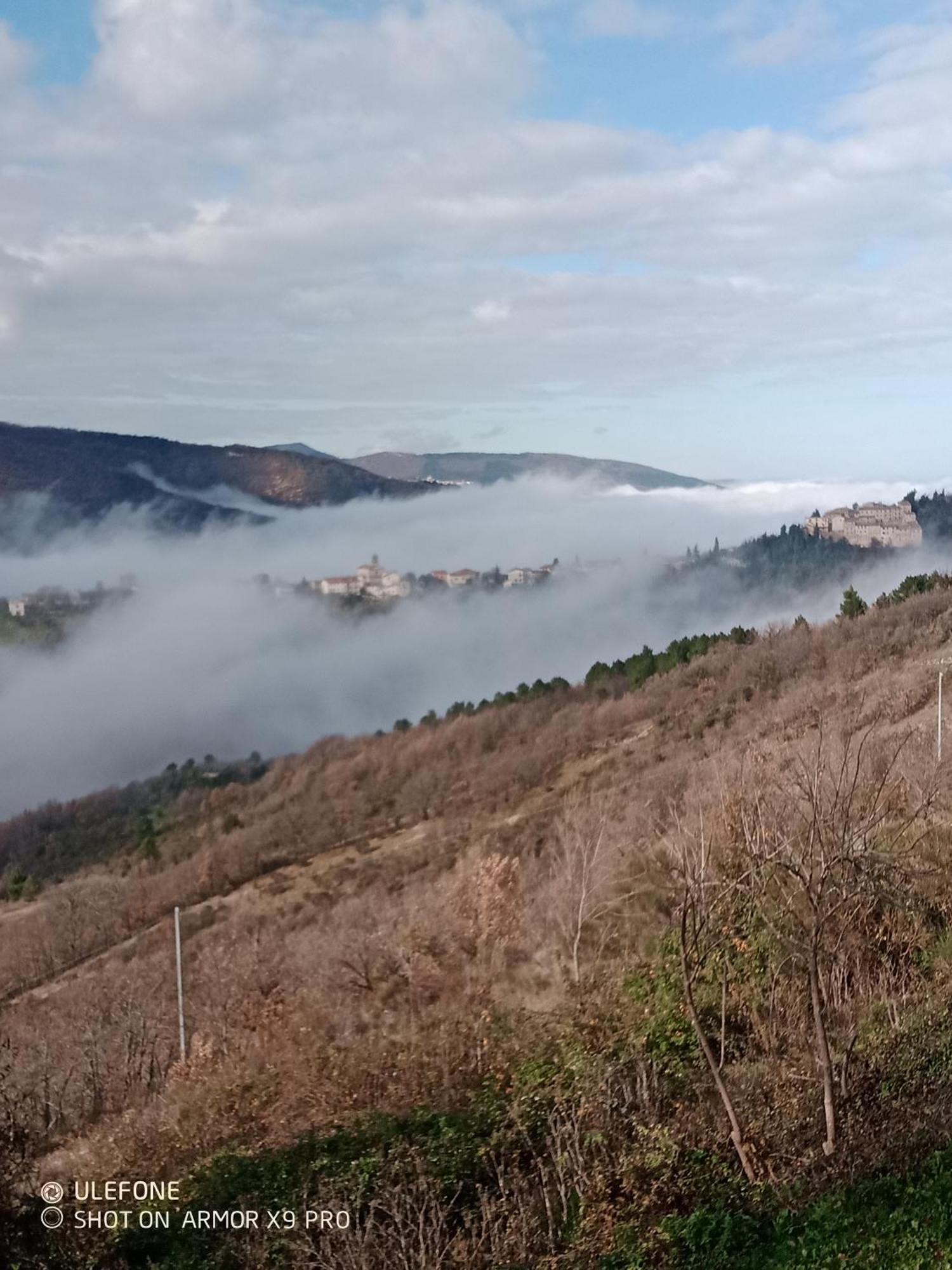 Agriturismo Becerca Vegan Serra San Quirico Exterior foto