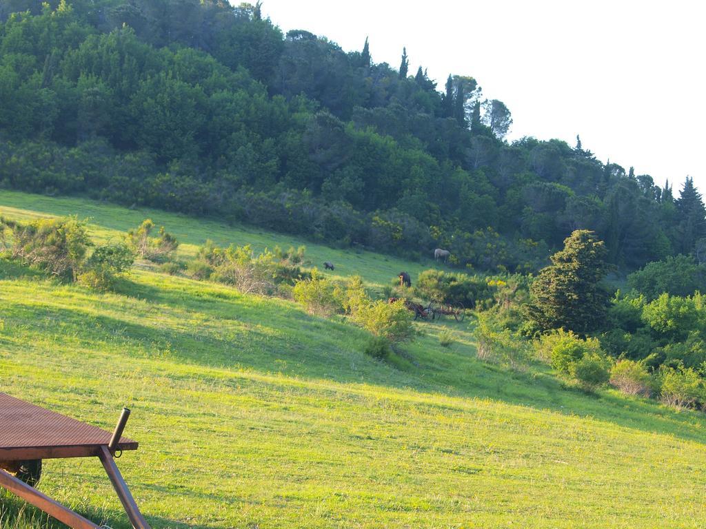 Agriturismo Becerca Vegan Serra San Quirico Exterior foto