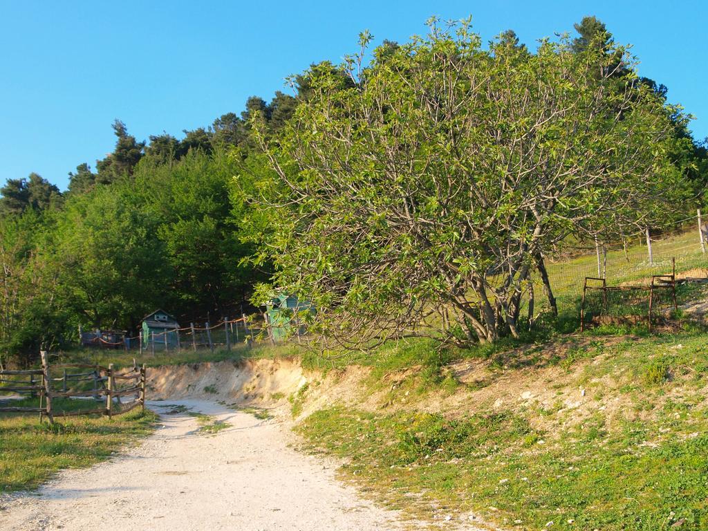Agriturismo Becerca Vegan Serra San Quirico Exterior foto