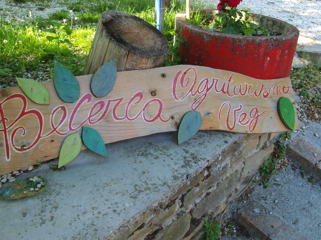Agriturismo Becerca Vegan Serra San Quirico Exterior foto