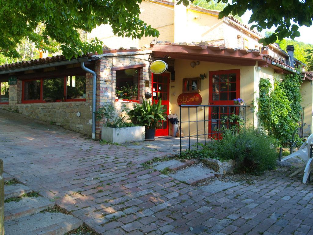 Agriturismo Becerca Vegan Serra San Quirico Exterior foto