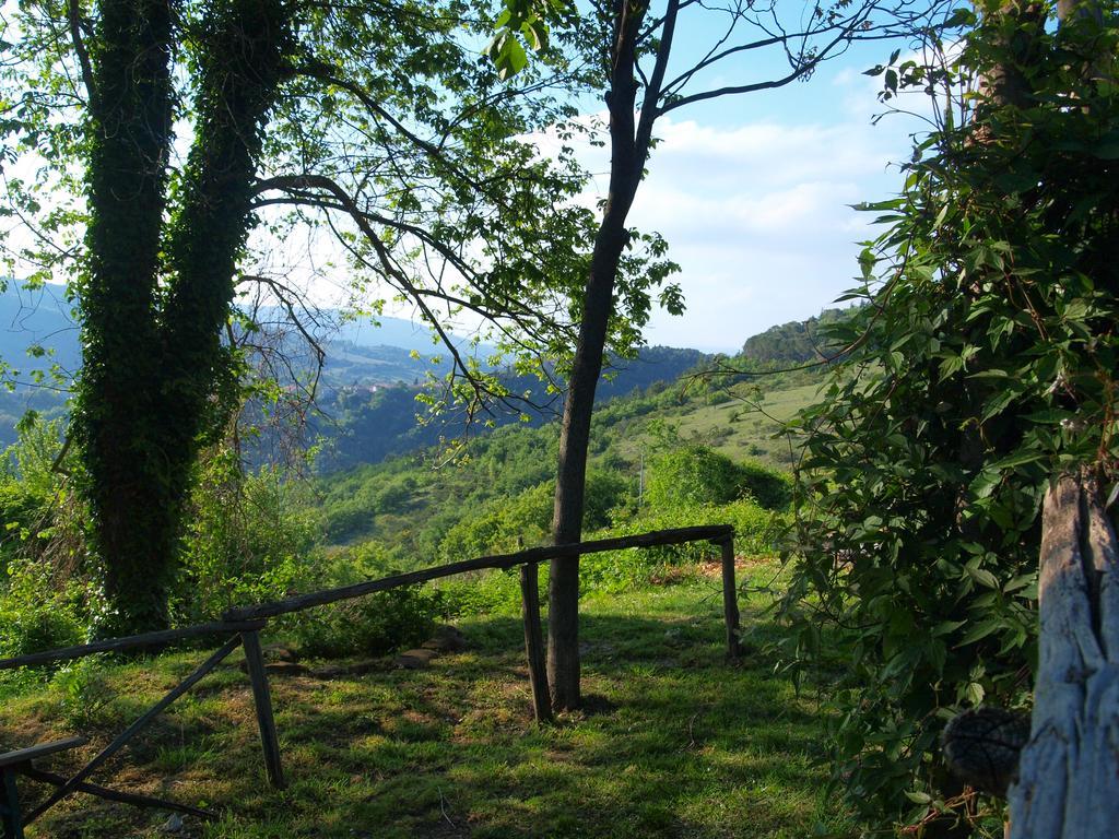 Agriturismo Becerca Vegan Serra San Quirico Exterior foto